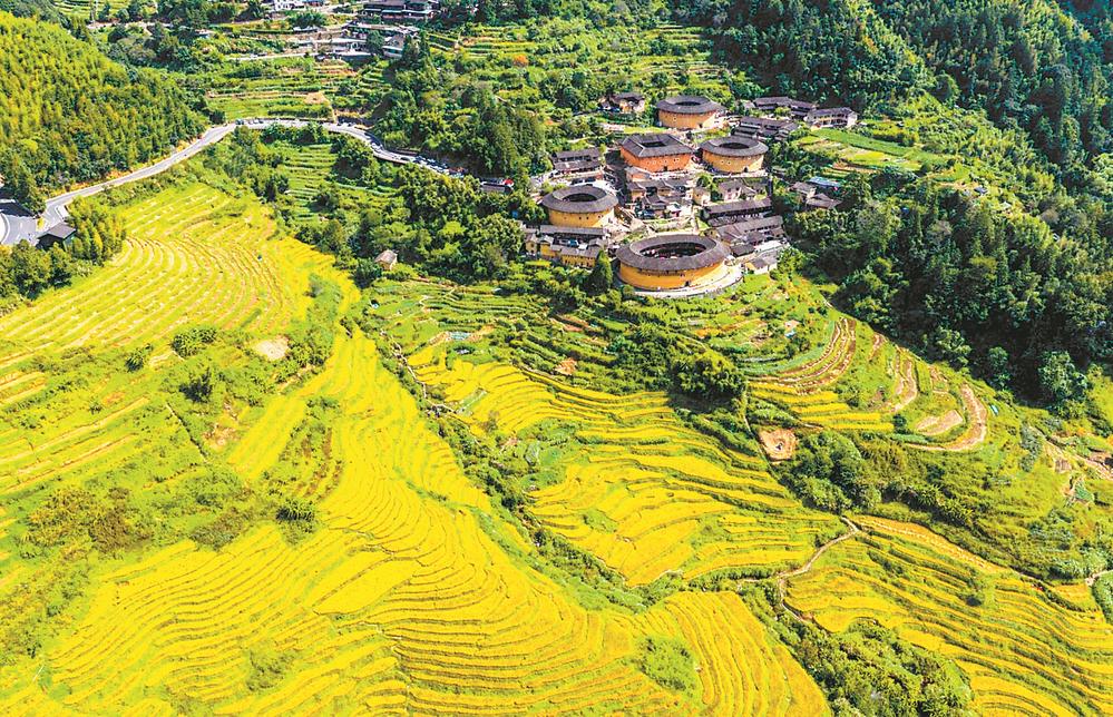 Nanjing Tulou cluster surrounded by terraced fields in Fujian