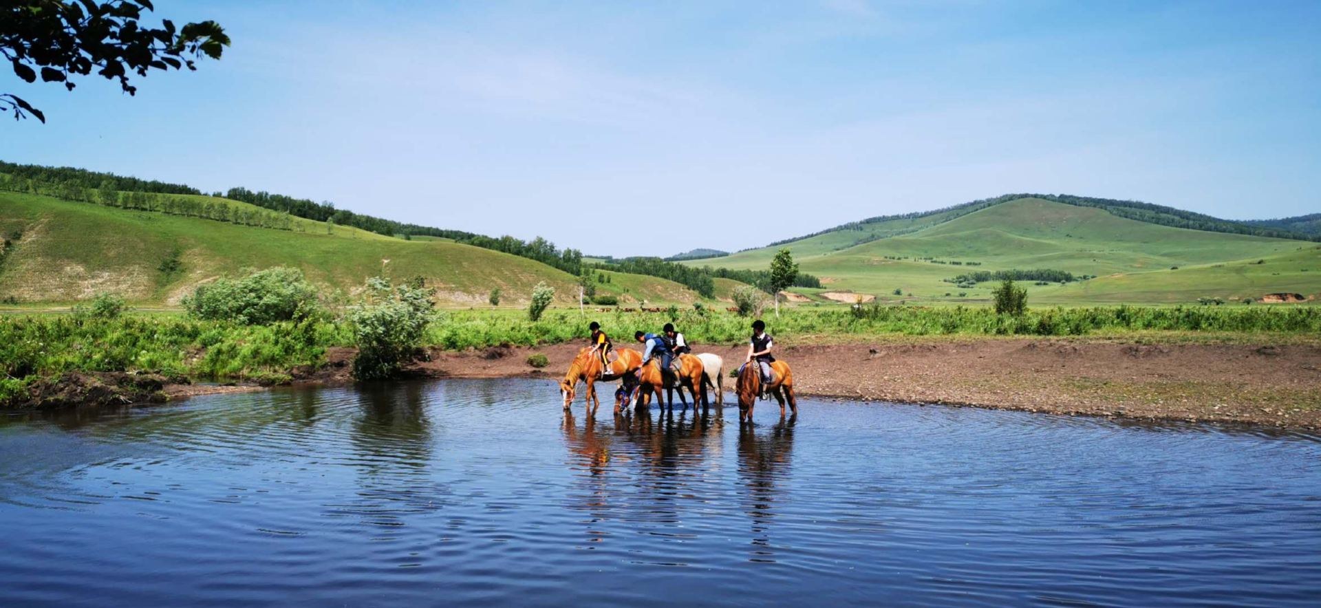 Travelers riding horses through a shallow river in the green Hulunbuir grasslands