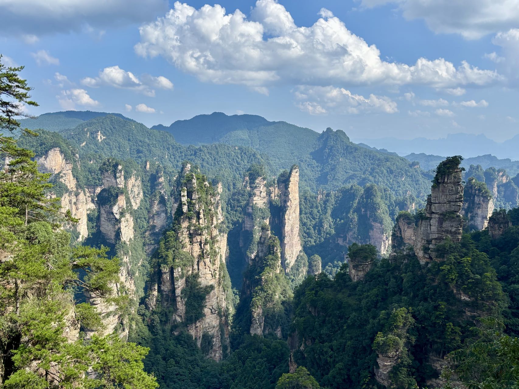 Quartz-sandstone pillars and forested mountains in Zhangjiajie National Forest Park beneath blue skies